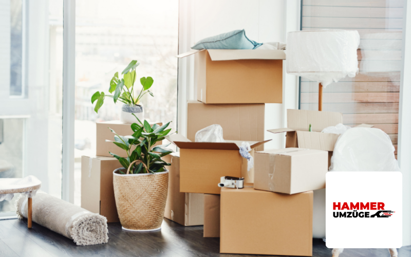 Umzüge Hammer logo SEO Agentur Berlin